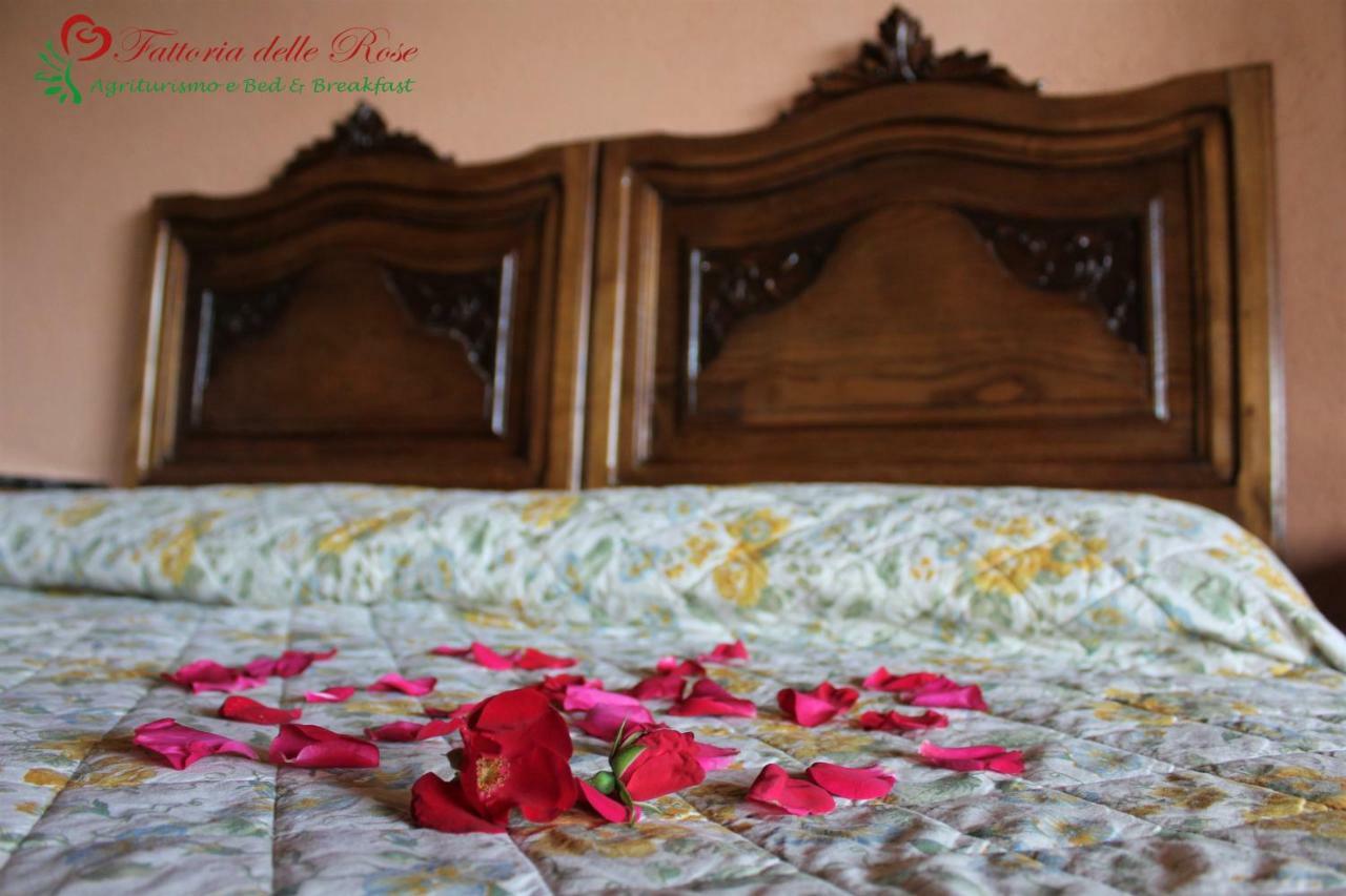 Fattoria Delle Rose Villa Salussola ภายนอก รูปภาพ