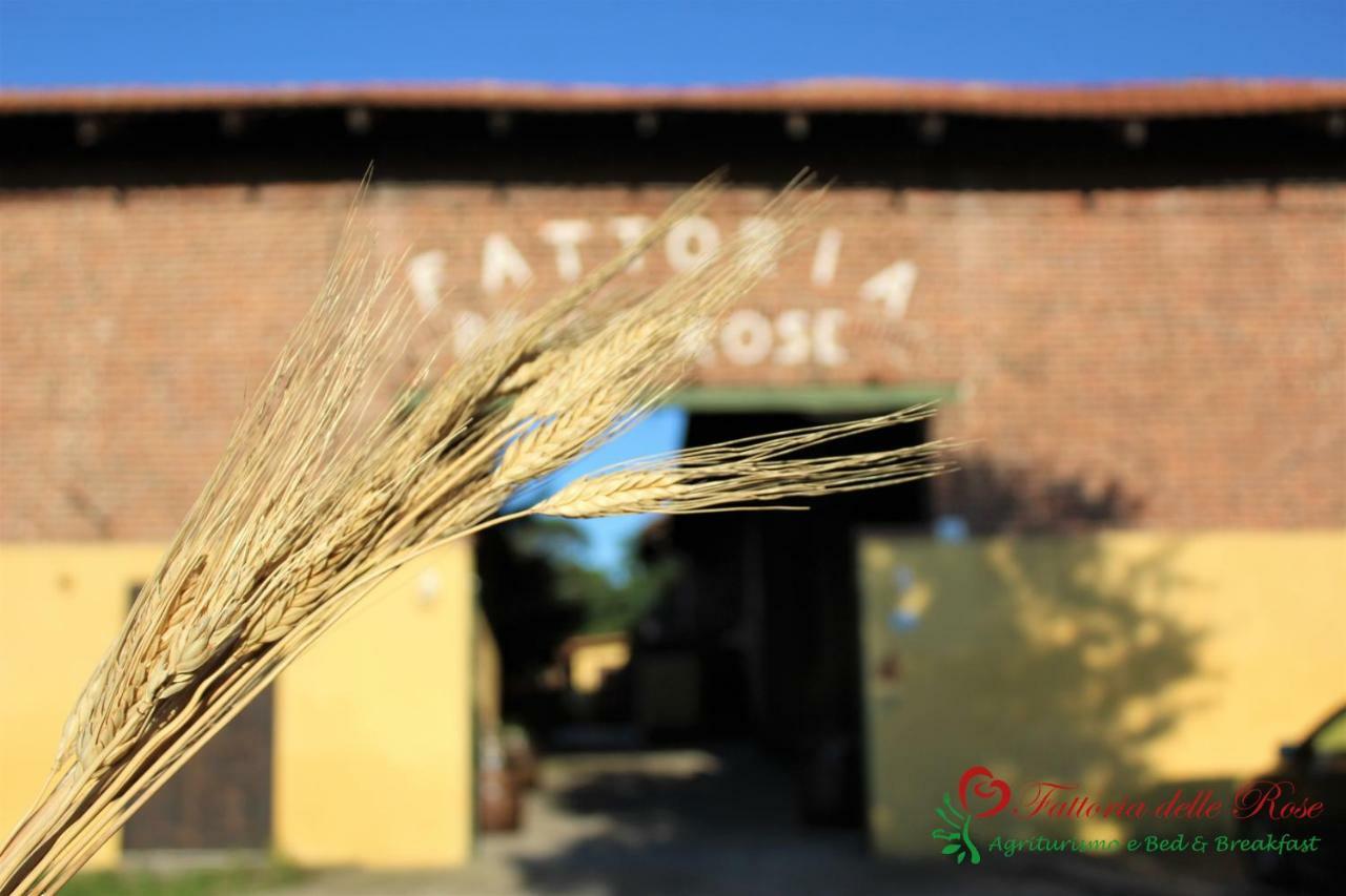 Fattoria Delle Rose Villa Salussola ภายนอก รูปภาพ