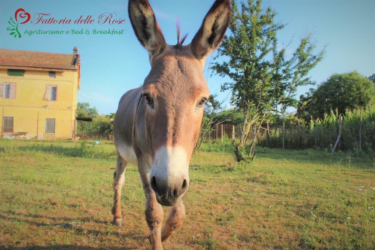 Fattoria Delle Rose Villa Salussola ภายนอก รูปภาพ